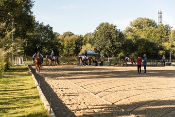 Bild 4 - Pony Akademie Turnier